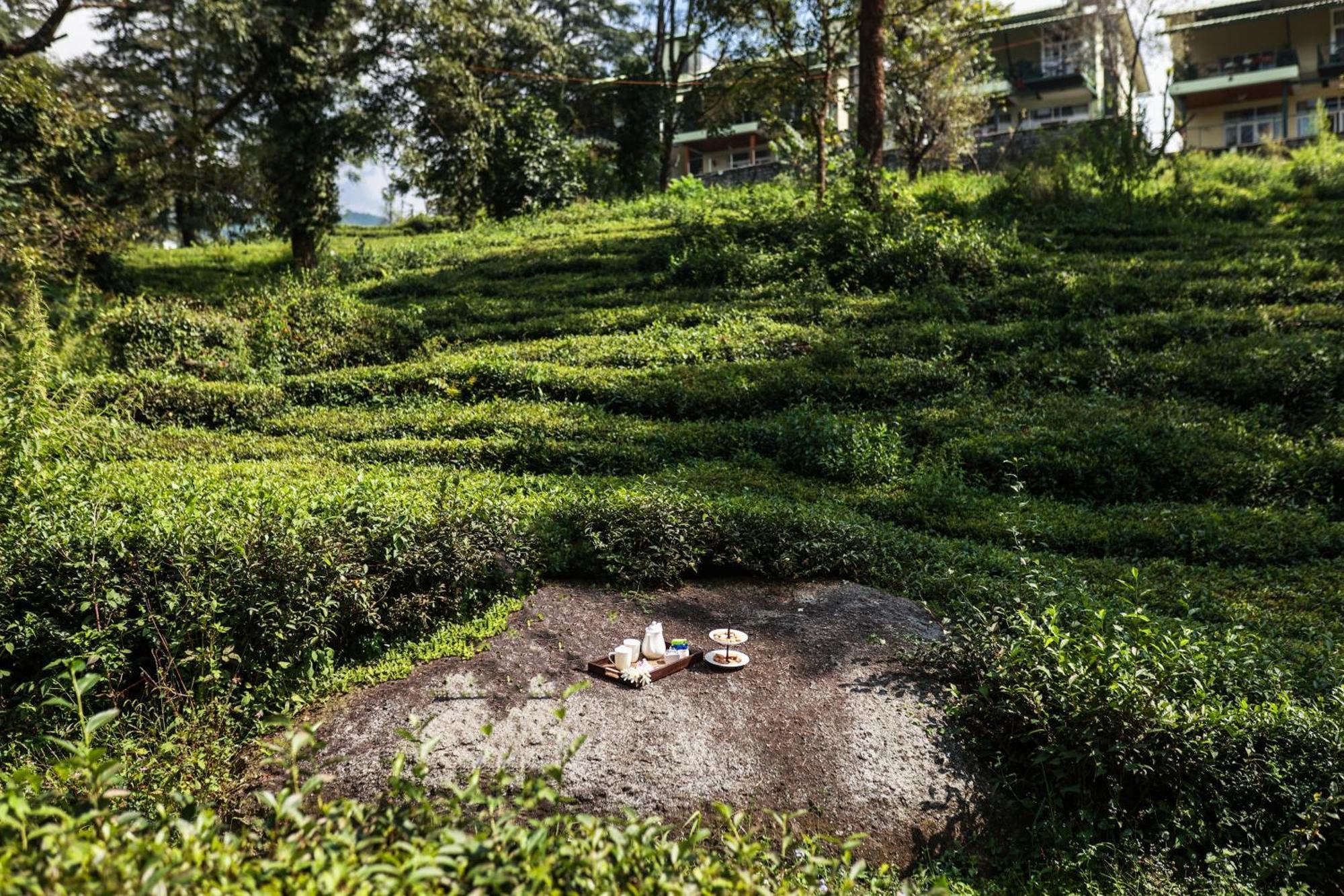 Lamrin Norwood Green Palampur, Himachal Pradesh Exterior photo